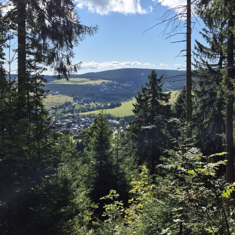 38. Neudorfer Fichtelberglauf: 194 Voranmeldungen bislang – Anmeldung noch bis Donnerstag,15 Uhr, möglich